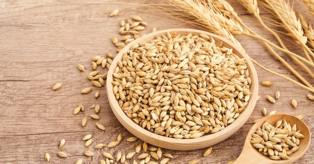 słód jęczmienny (1)